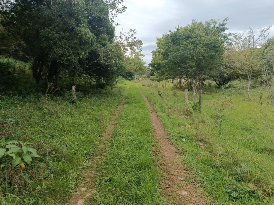 To Let 4 Bedroom Property for Rent in Belmont Valley Eastern Cape